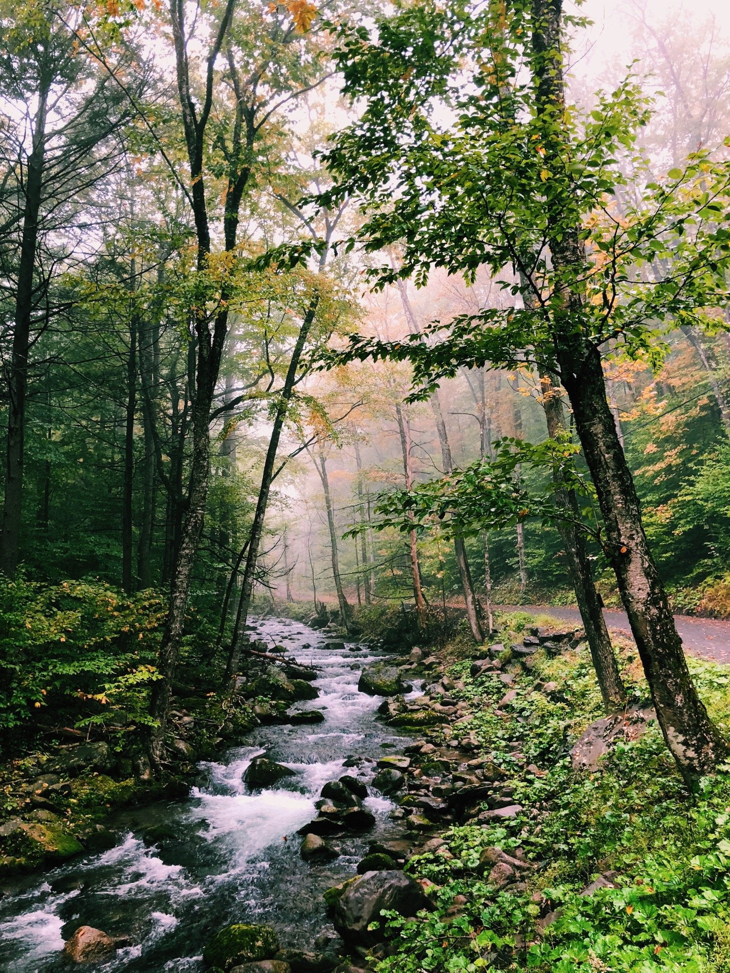 Processed with VSCO with c1 preset