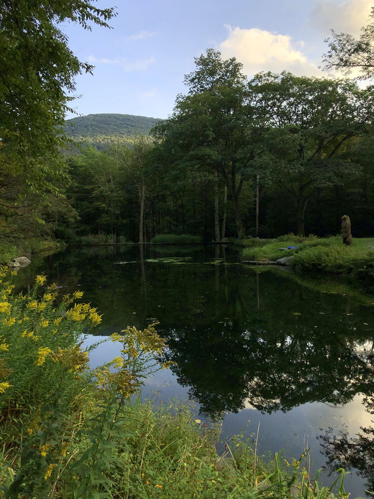 Pond