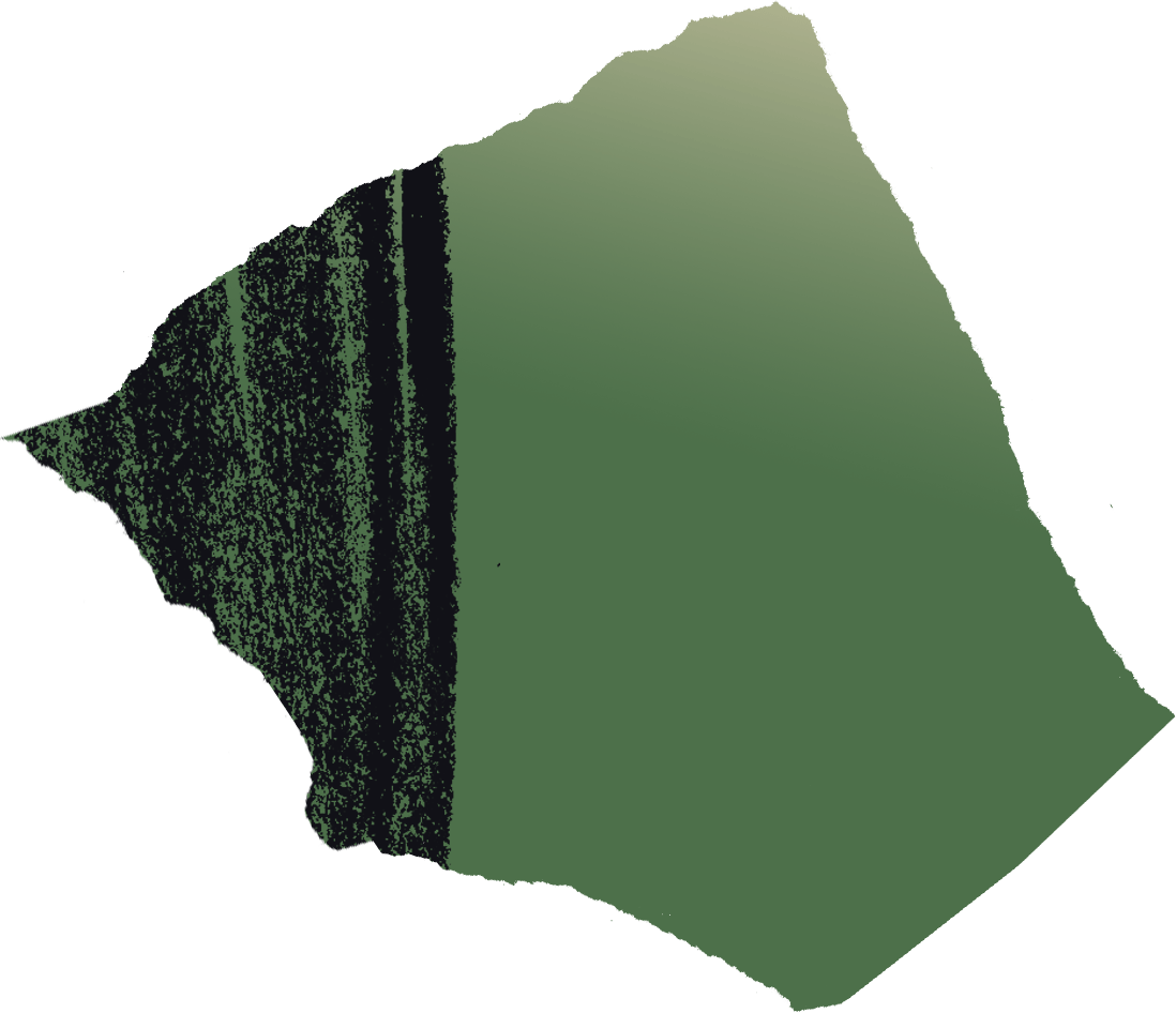 Shape_01